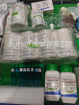 1763372417511650.jpg 昭通9.jpg